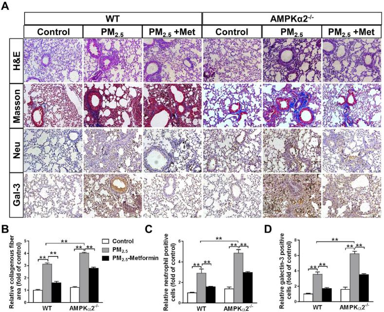 https://cdn.ncbi.nlm.nih.gov/pmc/blobs/a648/6838896/41e5c6ab4433/gr2.jpg