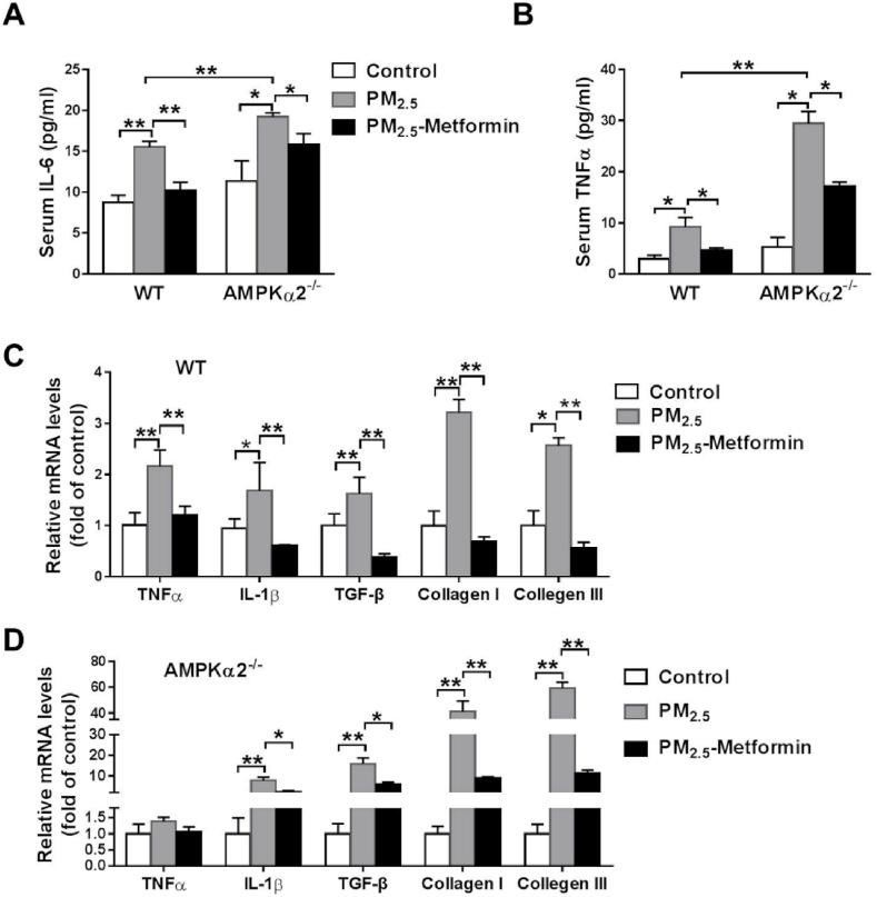 https://cdn.ncbi.nlm.nih.gov/pmc/blobs/a648/6838896/81ac6c439b83/gr1.jpg