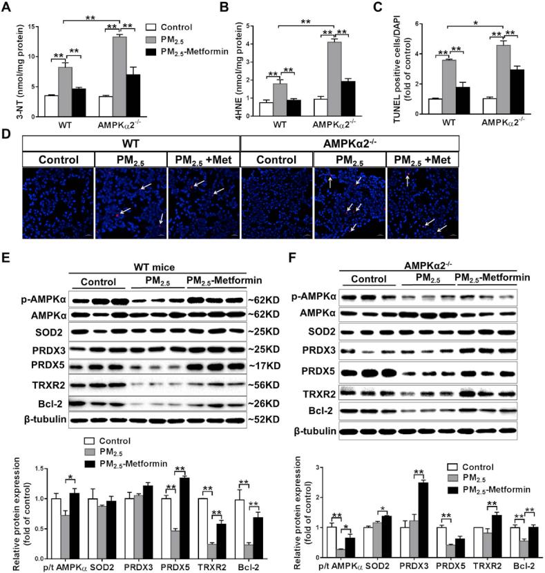 https://cdn.ncbi.nlm.nih.gov/pmc/blobs/a648/6838896/b898d2565576/gr3.jpg