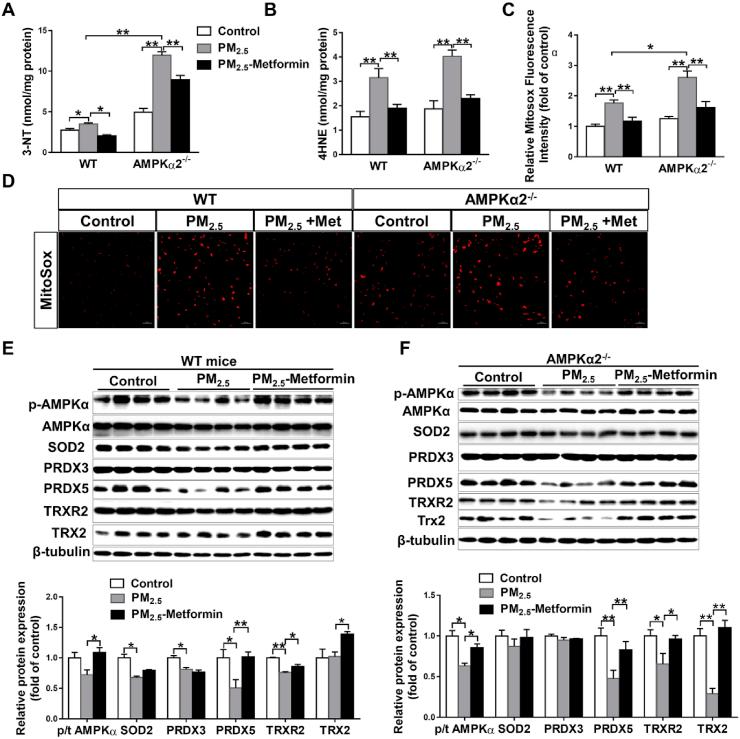 https://cdn.ncbi.nlm.nih.gov/pmc/blobs/a648/6838896/d33b20e2e72d/gr5.jpg