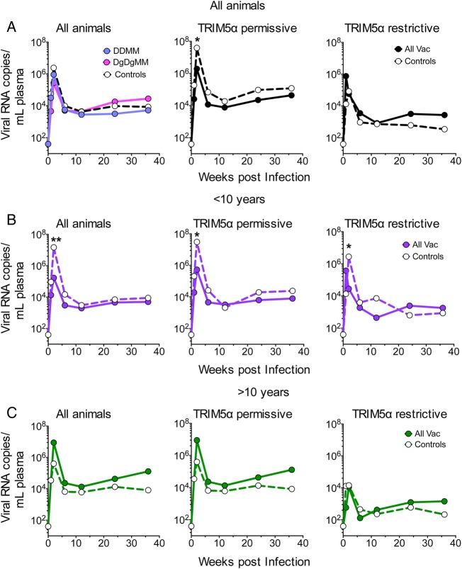 https://cdn.ncbi.nlm.nih.gov/pmc/blobs/a64a/4800464/e1bfc9c31644/ofw03405.jpg