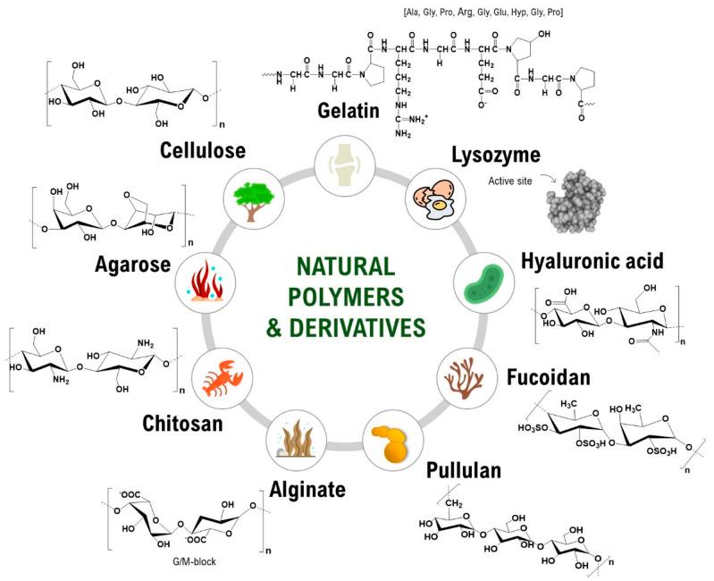 https://cdn.ncbi.nlm.nih.gov/pmc/blobs/a64c/11055061/2a7fc28277f8/polymers-16-01159-g001.jpg
