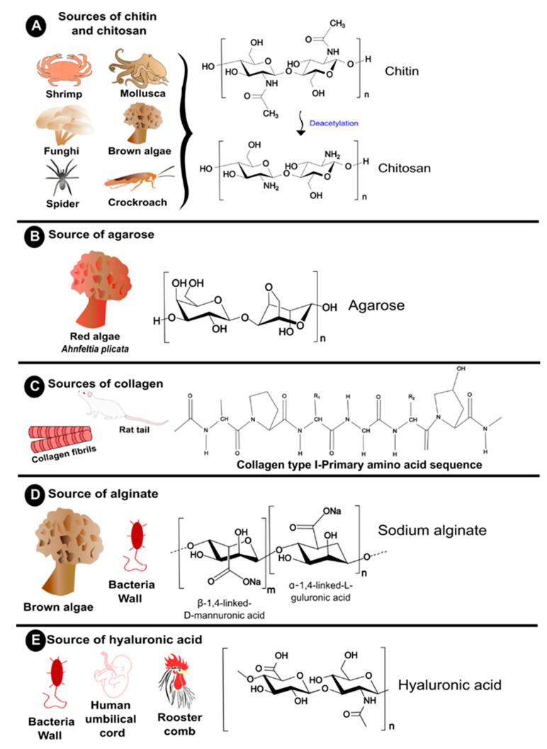 https://cdn.ncbi.nlm.nih.gov/pmc/blobs/a64c/11055061/30b1176e9923/polymers-16-01159-g006.jpg