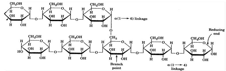 https://cdn.ncbi.nlm.nih.gov/pmc/blobs/a64c/11055061/d1cdb41895f5/polymers-16-01159-g009.jpg
