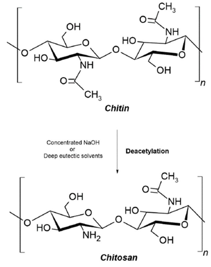 https://cdn.ncbi.nlm.nih.gov/pmc/blobs/a64c/11055061/f0e07d12ff42/polymers-16-01159-g005.jpg