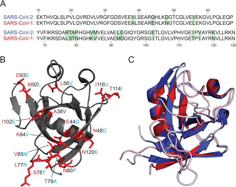 https://cdn.ncbi.nlm.nih.gov/pmc/blobs/a64d/7851544/c01d19e13713/JVI.02019-20-f0002.jpg