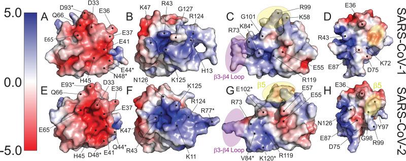 https://cdn.ncbi.nlm.nih.gov/pmc/blobs/a64d/7851544/cdacd8ee0d61/JVI.02019-20-f0005.jpg