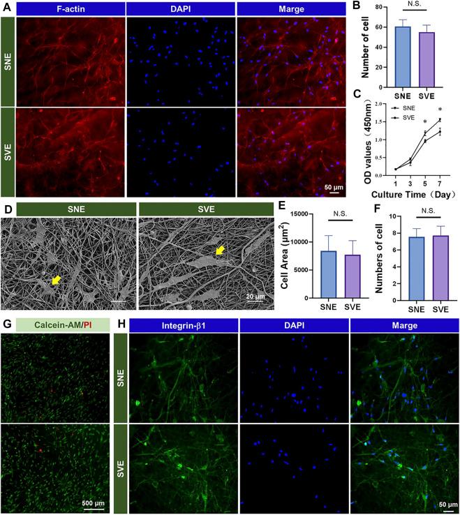 https://cdn.ncbi.nlm.nih.gov/pmc/blobs/a64d/8971606/3a9cbb66c42e/fbioe-10-847800-g003.jpg