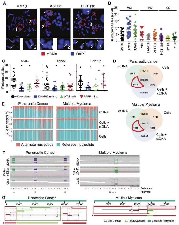 https://cdn.ncbi.nlm.nih.gov/pmc/blobs/a64e/11260451/e3480eb7341b/gkae427fig3.jpg