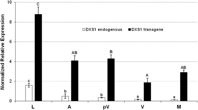 https://cdn.ncbi.nlm.nih.gov/pmc/blobs/a64e/5776104/779eb096c8de/fpls-08-02244-g0003.jpg