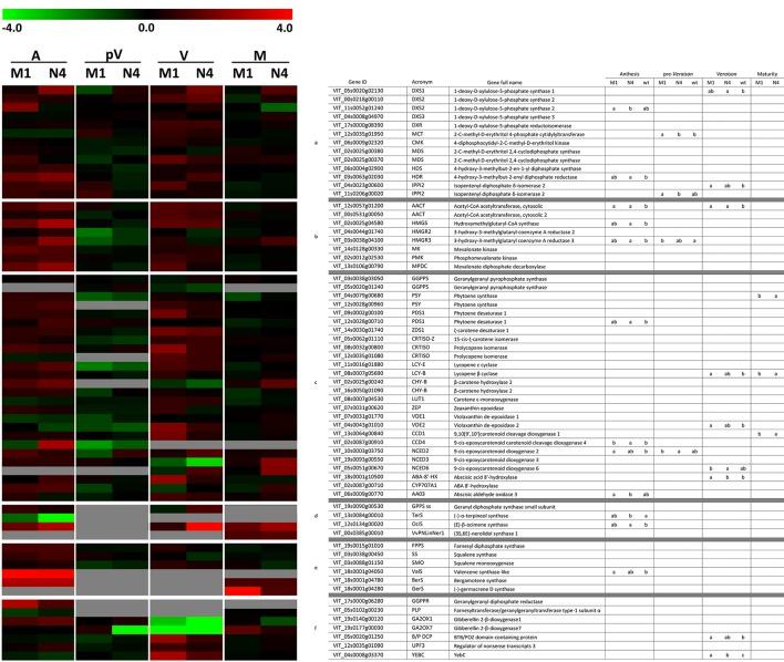 https://cdn.ncbi.nlm.nih.gov/pmc/blobs/a64e/5776104/a324f9a409b2/fpls-08-02244-g0004.jpg