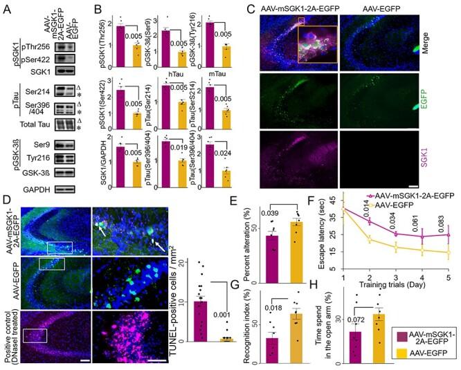 https://cdn.ncbi.nlm.nih.gov/pmc/blobs/a64e/8411983/79e8367ccc66/ddab115f3.jpg