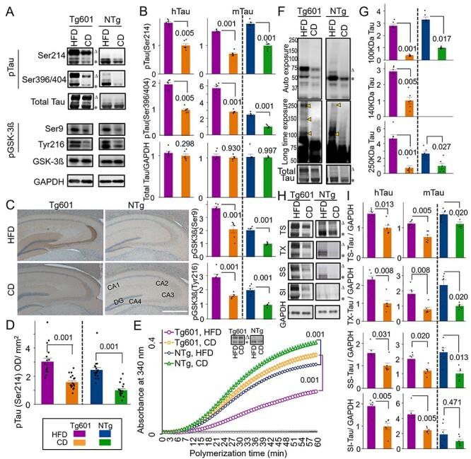 https://cdn.ncbi.nlm.nih.gov/pmc/blobs/a64e/8411983/e0204b9c461f/ddab115f2.jpg