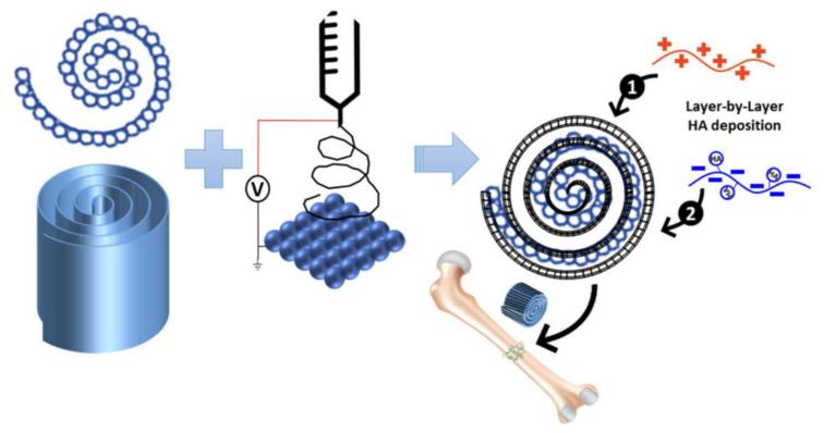 https://cdn.ncbi.nlm.nih.gov/pmc/blobs/a64f/10780542/0a6853f2d8ae/polymers-16-00165-g002.jpg