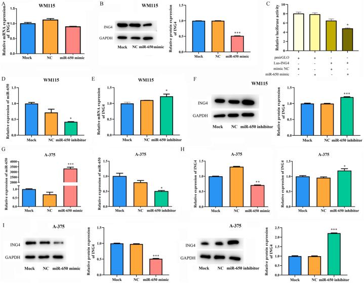 https://cdn.ncbi.nlm.nih.gov/pmc/blobs/a650/11382039/c4c523b4a814/gr5.jpg