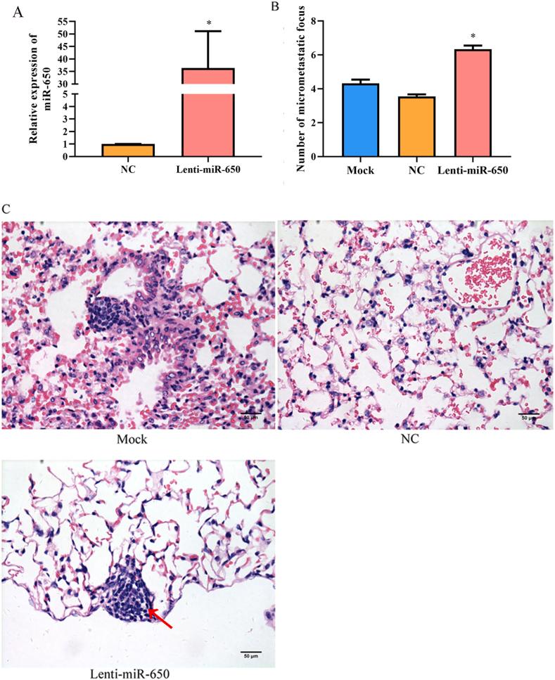 https://cdn.ncbi.nlm.nih.gov/pmc/blobs/a650/11382039/ca0dd1e58ce7/gr4.jpg