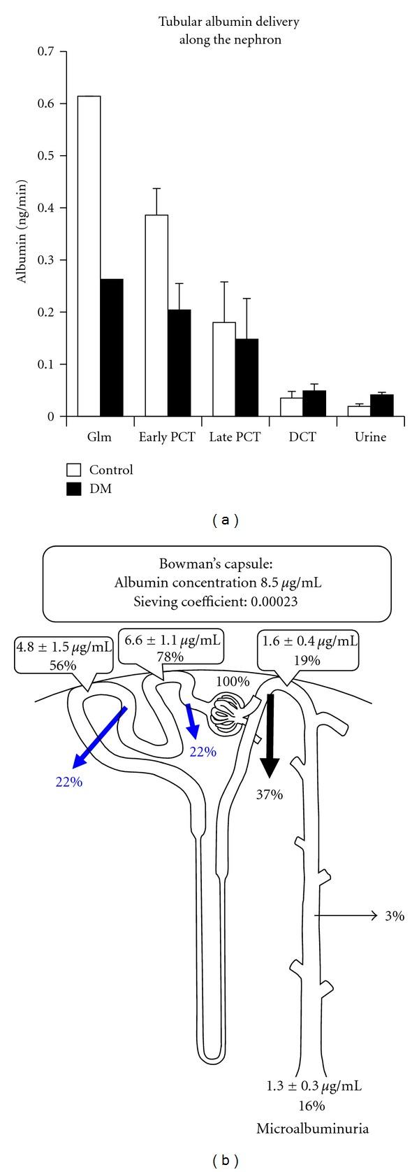 https://cdn.ncbi.nlm.nih.gov/pmc/blobs/a650/3363986/cda3f255249b/IJN2012-481520.002.jpg