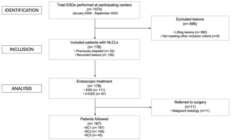 https://cdn.ncbi.nlm.nih.gov/pmc/blobs/a653/11987842/e58cf67cce02/cancers-17-01242-g003.jpg