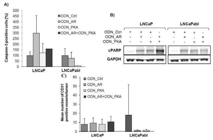 https://cdn.ncbi.nlm.nih.gov/pmc/blobs/a653/3709765/0e2de167493d/ijms-14-11942f6.jpg