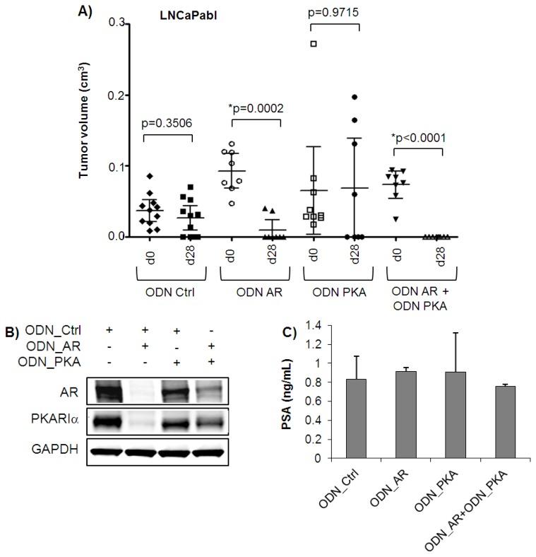 https://cdn.ncbi.nlm.nih.gov/pmc/blobs/a653/3709765/bd3ff706e002/ijms-14-11942f5.jpg