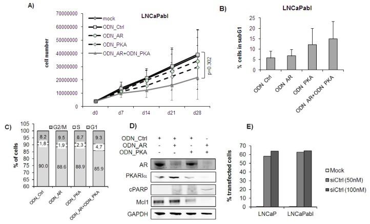 https://cdn.ncbi.nlm.nih.gov/pmc/blobs/a653/3709765/beda0b68ac22/ijms-14-11942f2.jpg