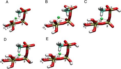 https://cdn.ncbi.nlm.nih.gov/pmc/blobs/a654/5157097/6304d46bff6c/12858_2016_68_Fig4_HTML.jpg