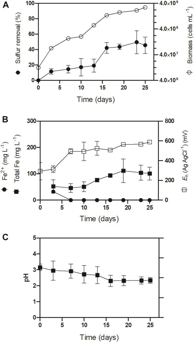 https://cdn.ncbi.nlm.nih.gov/pmc/blobs/a657/10751661/0e75f91fb621/fbioe-11-1324417-g001.jpg