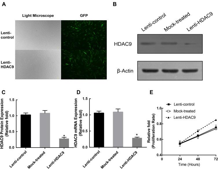 https://cdn.ncbi.nlm.nih.gov/pmc/blobs/a659/9113040/095f723503aa/CIA-17-777-g0001.jpg
