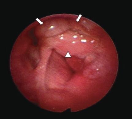 https://cdn.ncbi.nlm.nih.gov/pmc/blobs/a65a/2994524/9451da6216b9/rt-2010-3-e41-g001.jpg