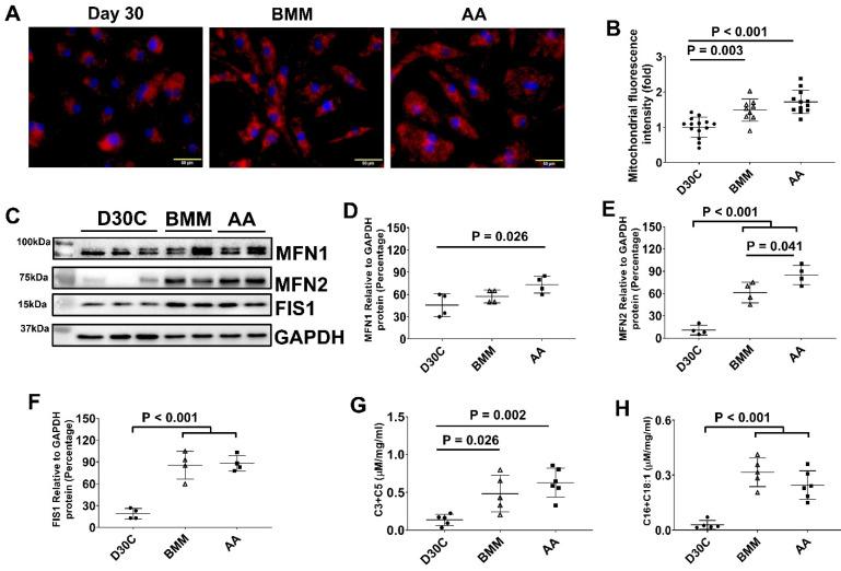 https://cdn.ncbi.nlm.nih.gov/pmc/blobs/a65b/10334833/0058541169b4/thnov13p3872g006.jpg