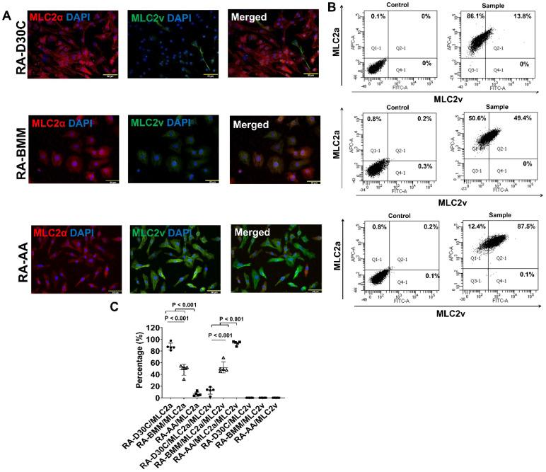 https://cdn.ncbi.nlm.nih.gov/pmc/blobs/a65b/10334833/0b1a7ba20b05/thnov13p3872g012.jpg