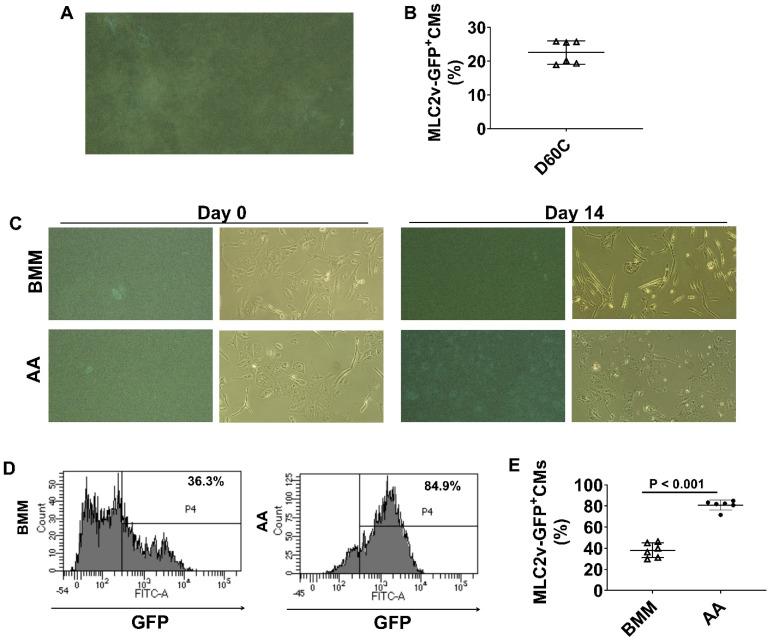 https://cdn.ncbi.nlm.nih.gov/pmc/blobs/a65b/10334833/25436f4ccb9e/thnov13p3872g016.jpg