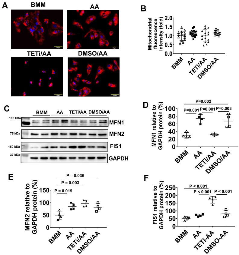 https://cdn.ncbi.nlm.nih.gov/pmc/blobs/a65b/10334833/3804cad6ef5f/thnov13p3872g022.jpg