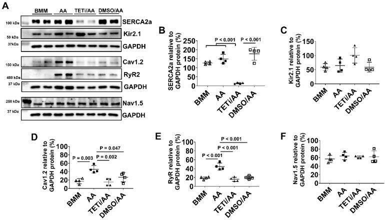 https://cdn.ncbi.nlm.nih.gov/pmc/blobs/a65b/10334833/a1238ab7566f/thnov13p3872g021.jpg