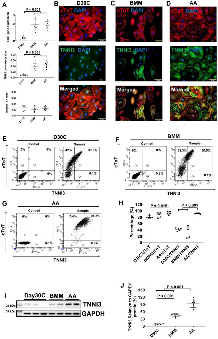 https://cdn.ncbi.nlm.nih.gov/pmc/blobs/a65b/10334833/acdba36c2e39/thnov13p3872g002.jpg