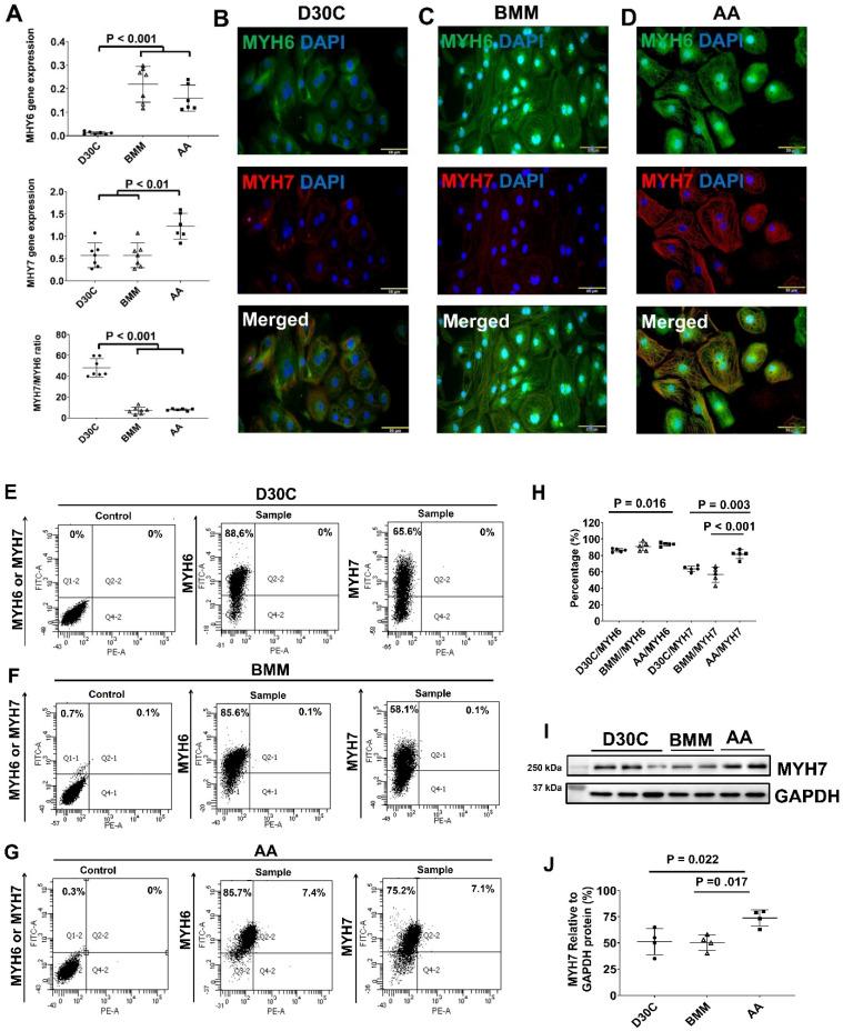 https://cdn.ncbi.nlm.nih.gov/pmc/blobs/a65b/10334833/d013ceaf1530/thnov13p3872g003.jpg