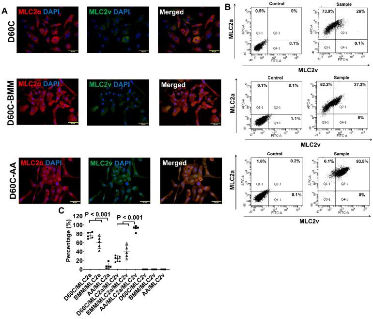 https://cdn.ncbi.nlm.nih.gov/pmc/blobs/a65b/10334833/dd3397a8df75/thnov13p3872g008.jpg