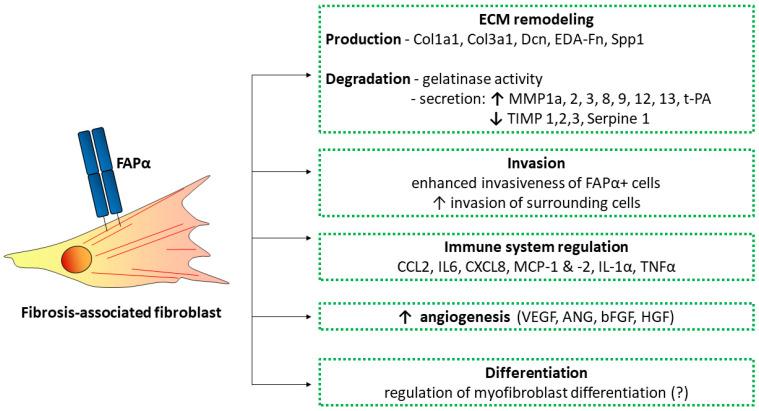 https://cdn.ncbi.nlm.nih.gov/pmc/blobs/a65b/10742035/4ac205b4bd23/biomolecules-13-01718-g003.jpg