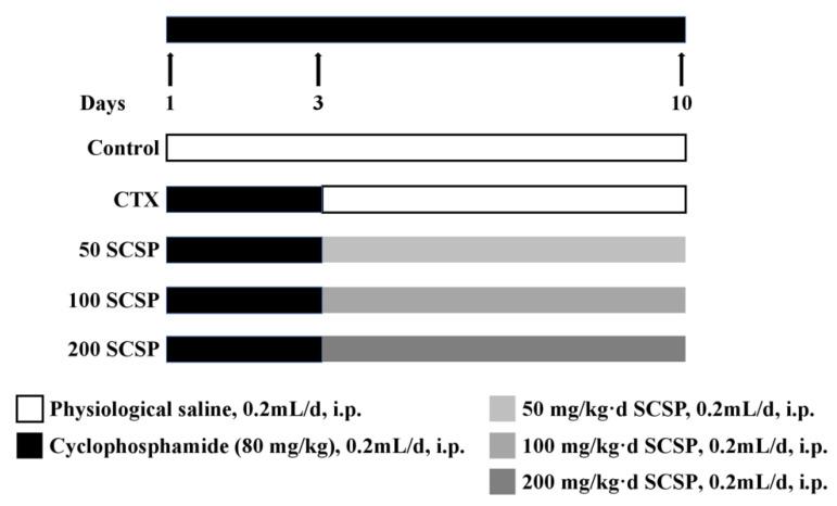 https://cdn.ncbi.nlm.nih.gov/pmc/blobs/a65c/7551019/4318aa859c3e/marinedrugs-18-00462-g007.jpg