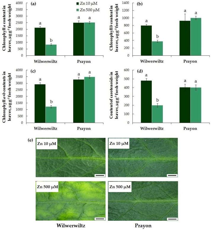 https://cdn.ncbi.nlm.nih.gov/pmc/blobs/a65d/12252159/6ef99aeef2b8/plants-14-01975-g003.jpg