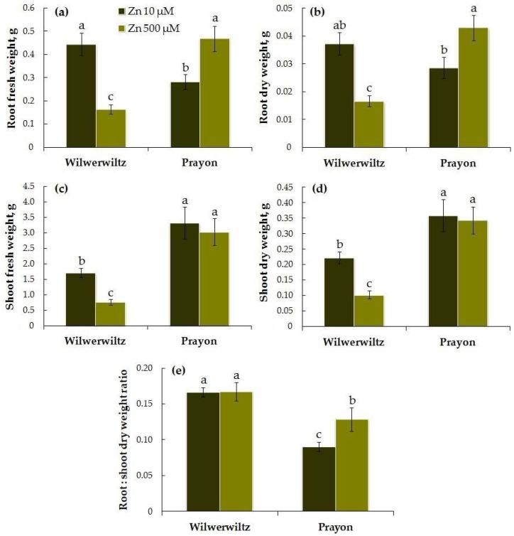 https://cdn.ncbi.nlm.nih.gov/pmc/blobs/a65d/12252159/9b2cb141bf53/plants-14-01975-g001.jpg