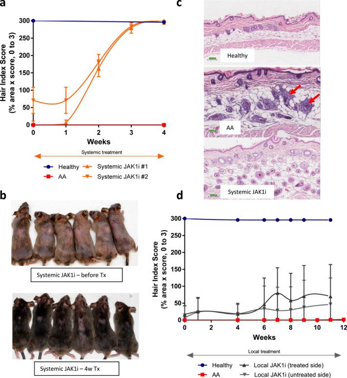 https://cdn.ncbi.nlm.nih.gov/pmc/blobs/a65e/10233092/d14a5952b8e5/SKI2-3-e209-g005.jpg