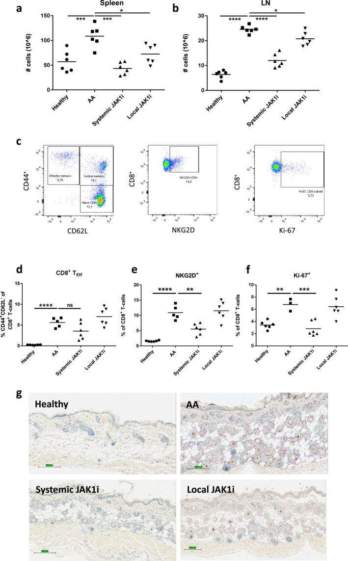 https://cdn.ncbi.nlm.nih.gov/pmc/blobs/a65e/10233092/dab8b0c0a448/SKI2-3-e209-g011.jpg