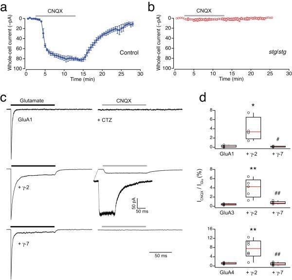 https://cdn.ncbi.nlm.nih.gov/pmc/blobs/a65e/3427011/7f6b6d51f64d/ukmss-47665-f0007.jpg