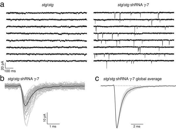 https://cdn.ncbi.nlm.nih.gov/pmc/blobs/a65e/3427011/e7f0bfeaca56/ukmss-47665-f0008.jpg