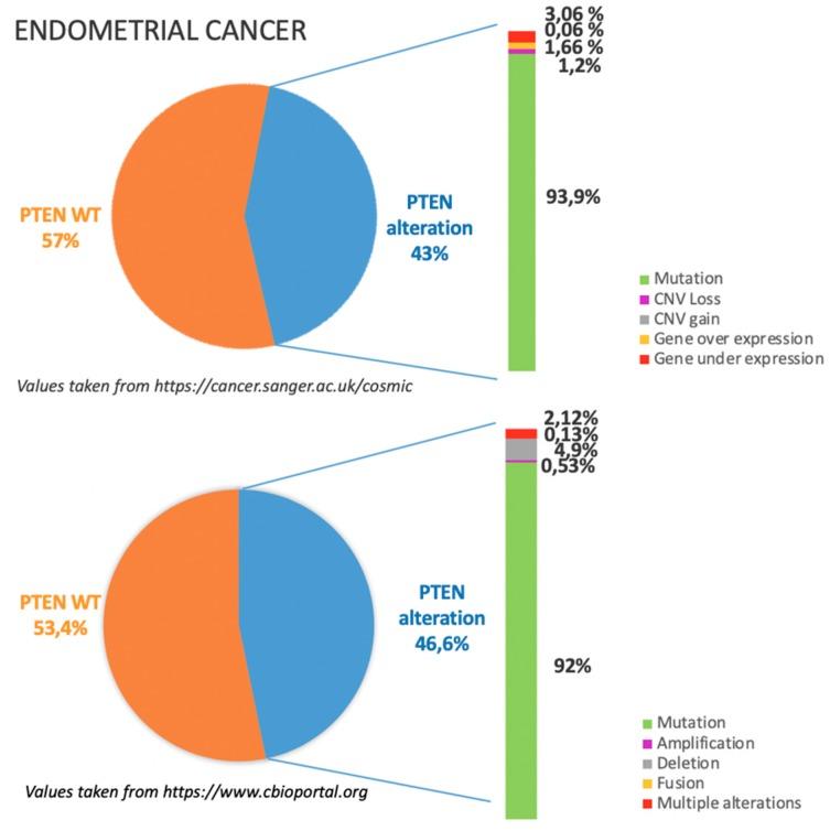 https://cdn.ncbi.nlm.nih.gov/pmc/blobs/a65e/6826459/b4cf669f4fe4/cancers-11-01458-g003.jpg
