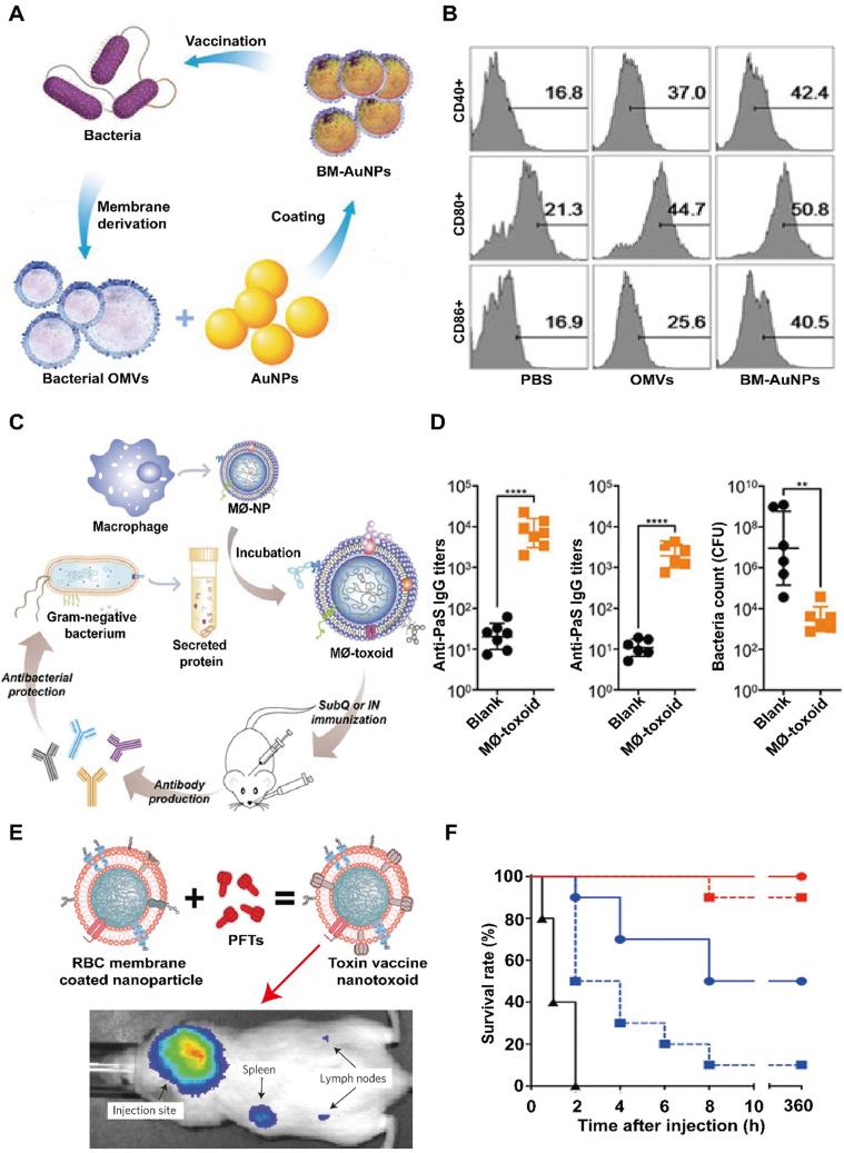 https://cdn.ncbi.nlm.nih.gov/pmc/blobs/a660/9069404/b7316beb5ac9/gr9.jpg