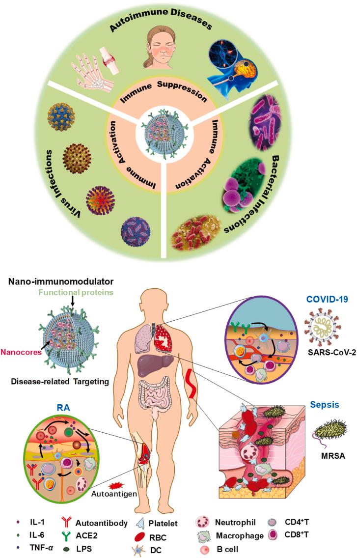 https://cdn.ncbi.nlm.nih.gov/pmc/blobs/a660/9069404/eedc26a4aa5a/sc1.jpg