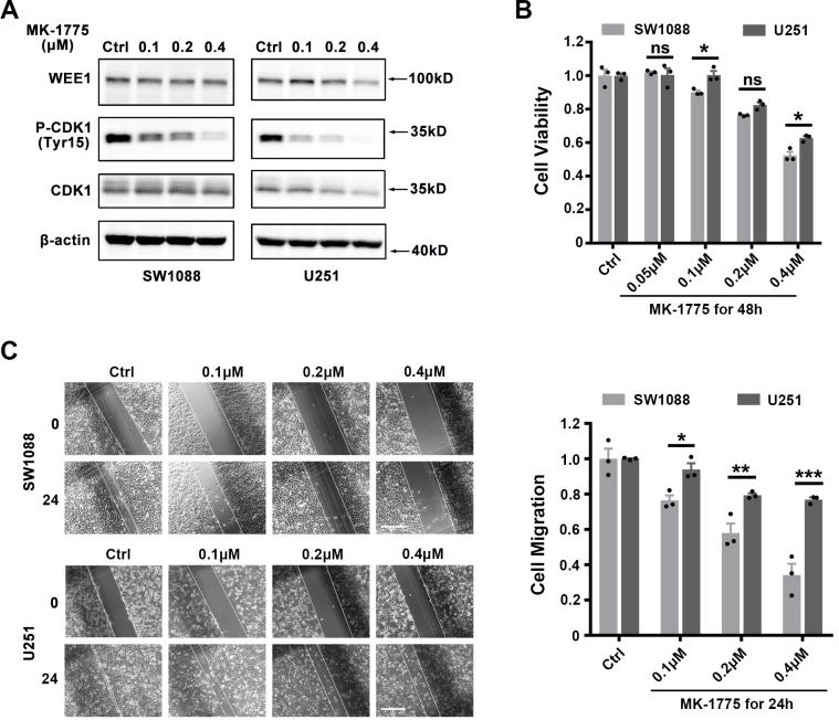 https://cdn.ncbi.nlm.nih.gov/pmc/blobs/a663/11380252/268316400671/cbm-40-cbm230517-g003.jpg