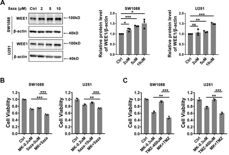 https://cdn.ncbi.nlm.nih.gov/pmc/blobs/a663/11380252/45cac9277f53/cbm-40-cbm230517-g007.jpg